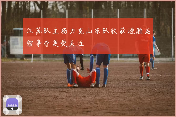 江苏队主场力克山东队收获连胜后续争夺更受关注